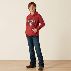 Ariat Ariat Liquid Stamp Flag Hoodie Kids