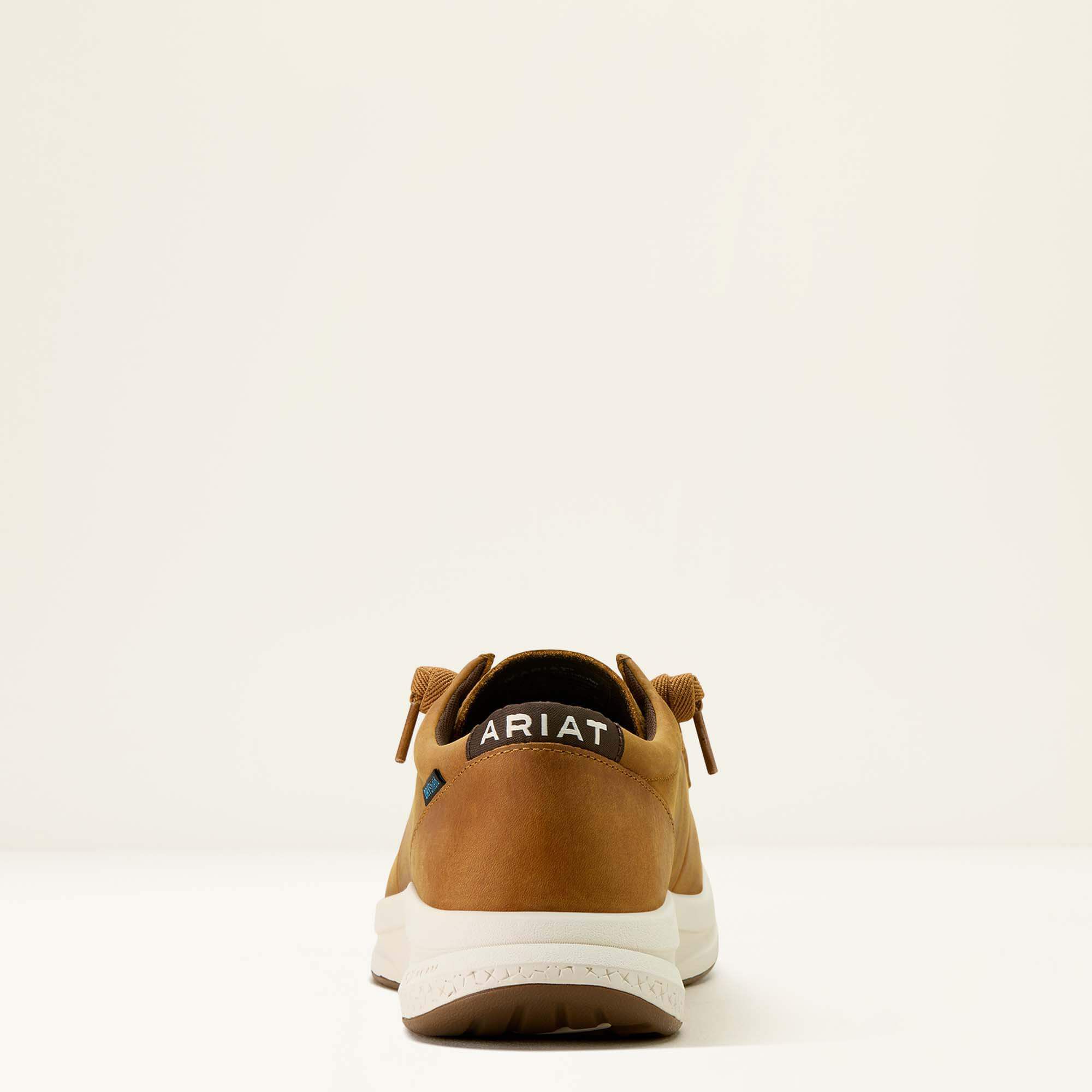 Ariat Buckeye Waterproof Shoe Men