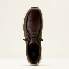 Ariat Buckeye Waterproof Shoe Men