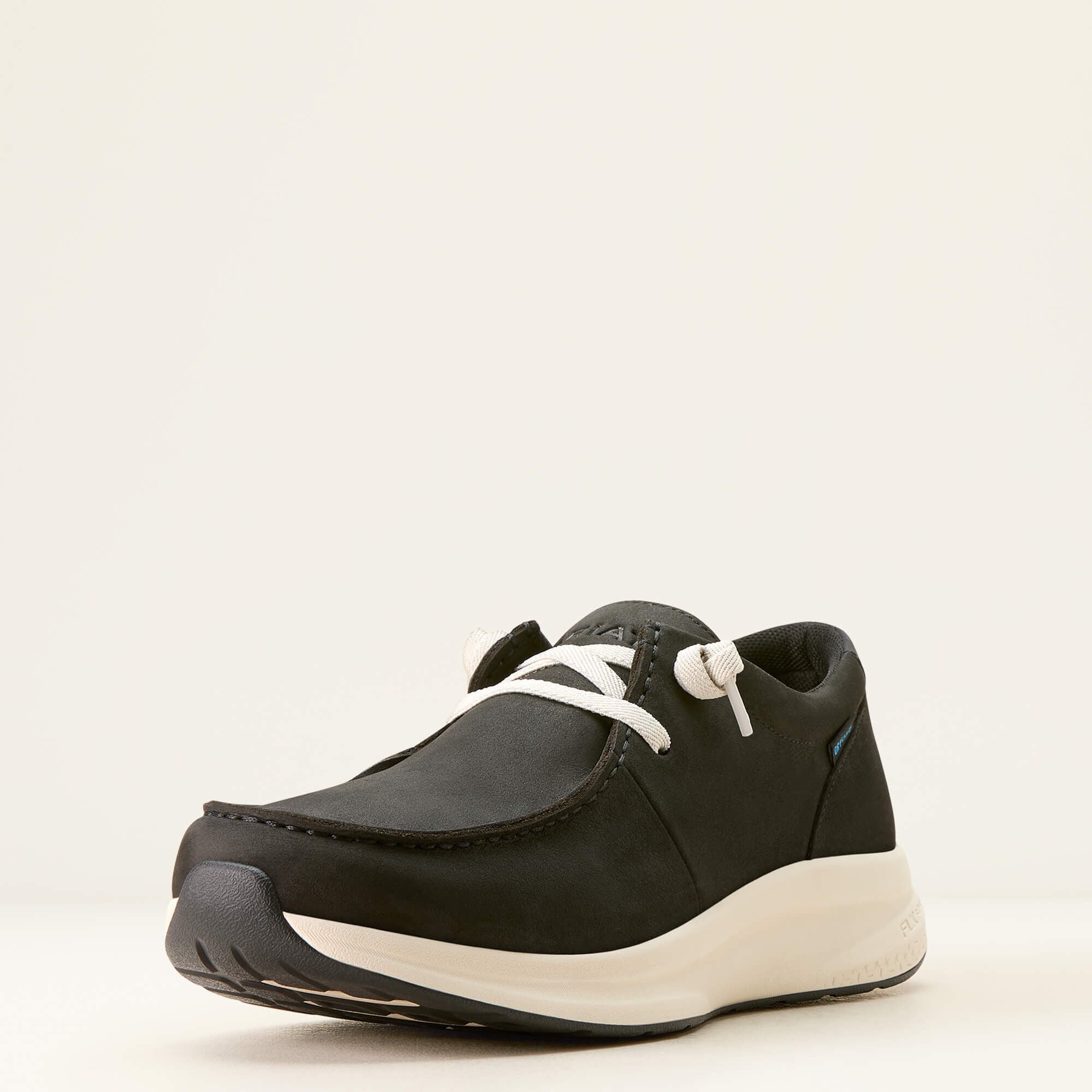 Ariat Buckeye Waterproof Shoe Men