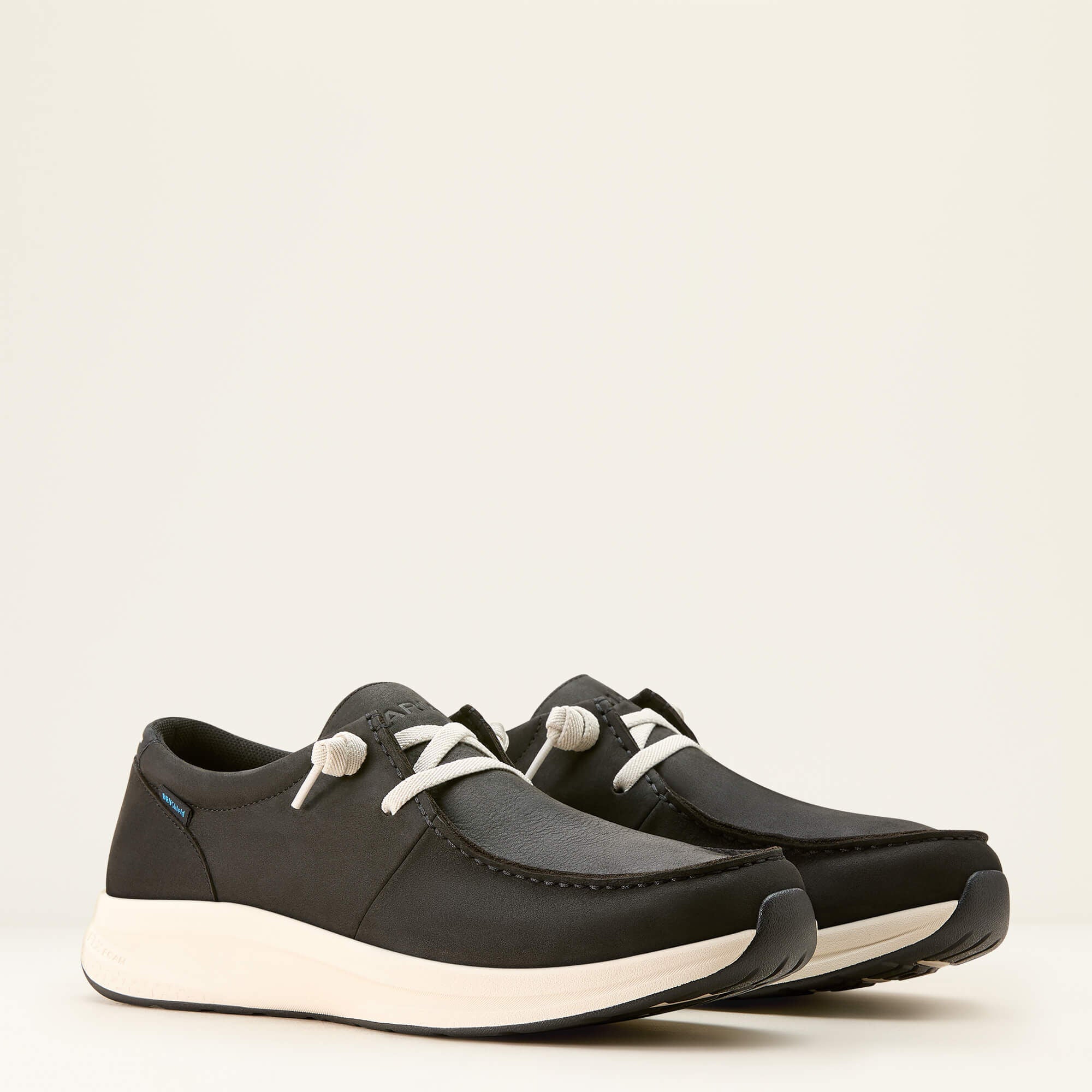 Ariat Buckeye Waterproof Shoe Men
