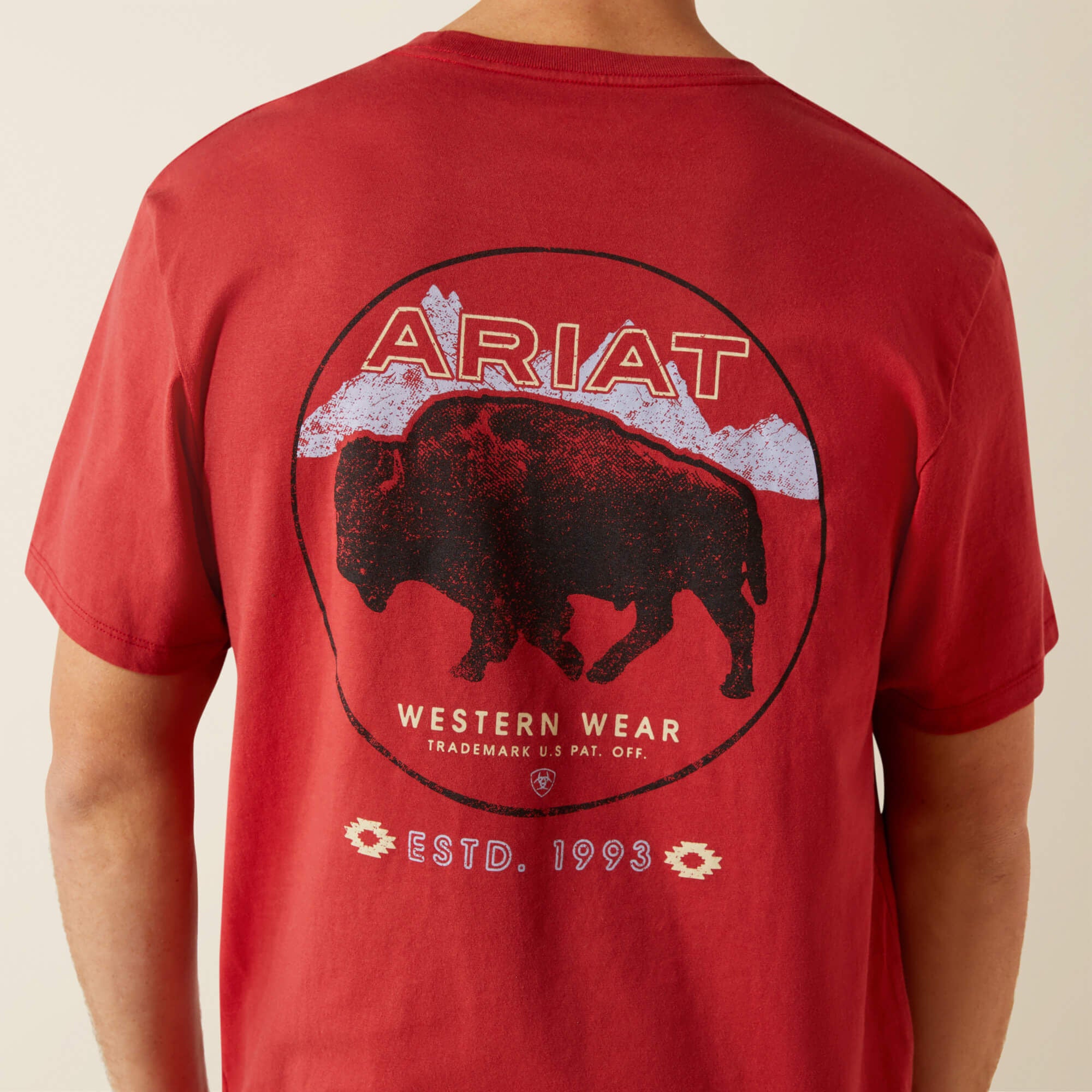 Ariat Ariat Patriot Buffalo Coin T-Shirt Men
