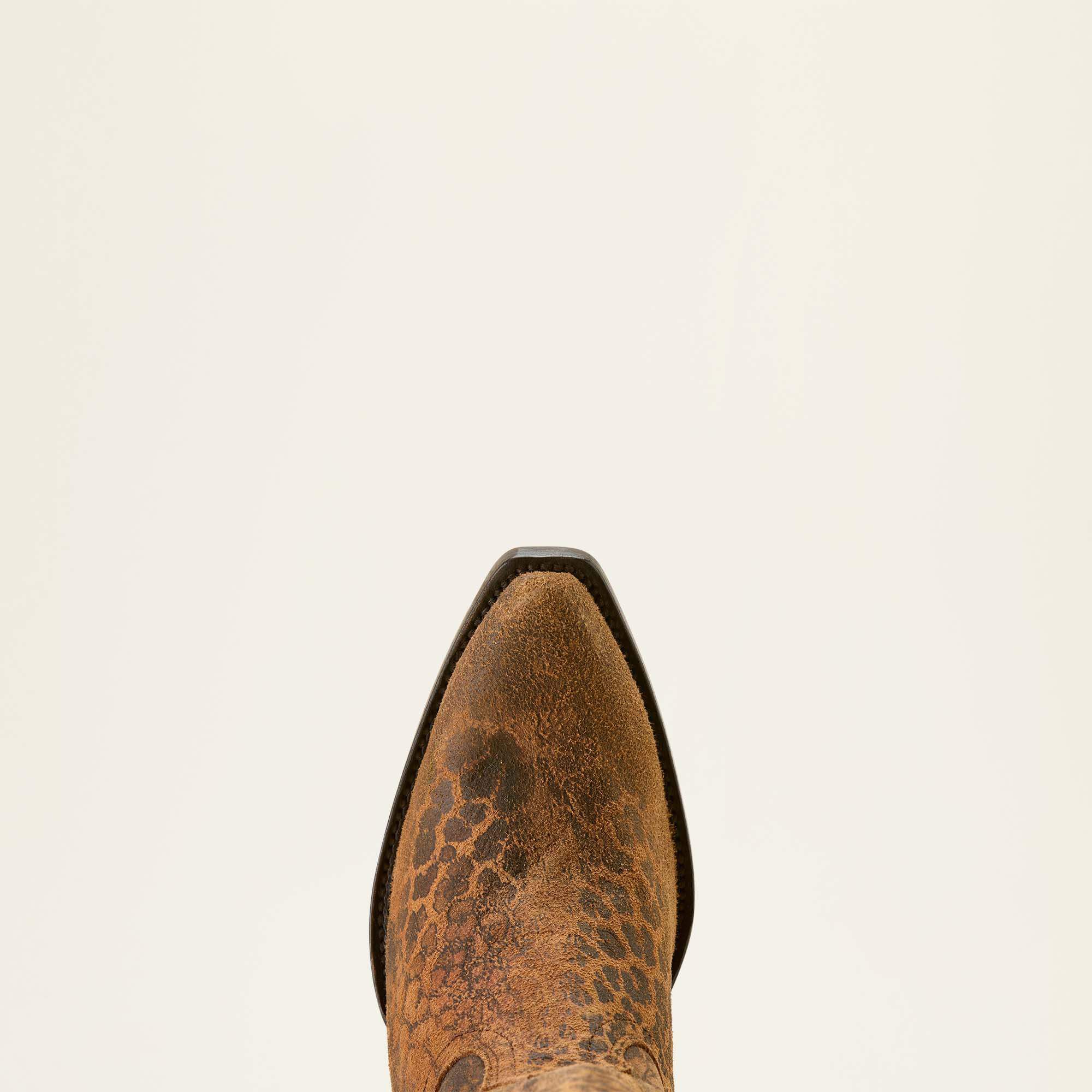 Ariat Casanova X Toe Western Boot Women|Trends