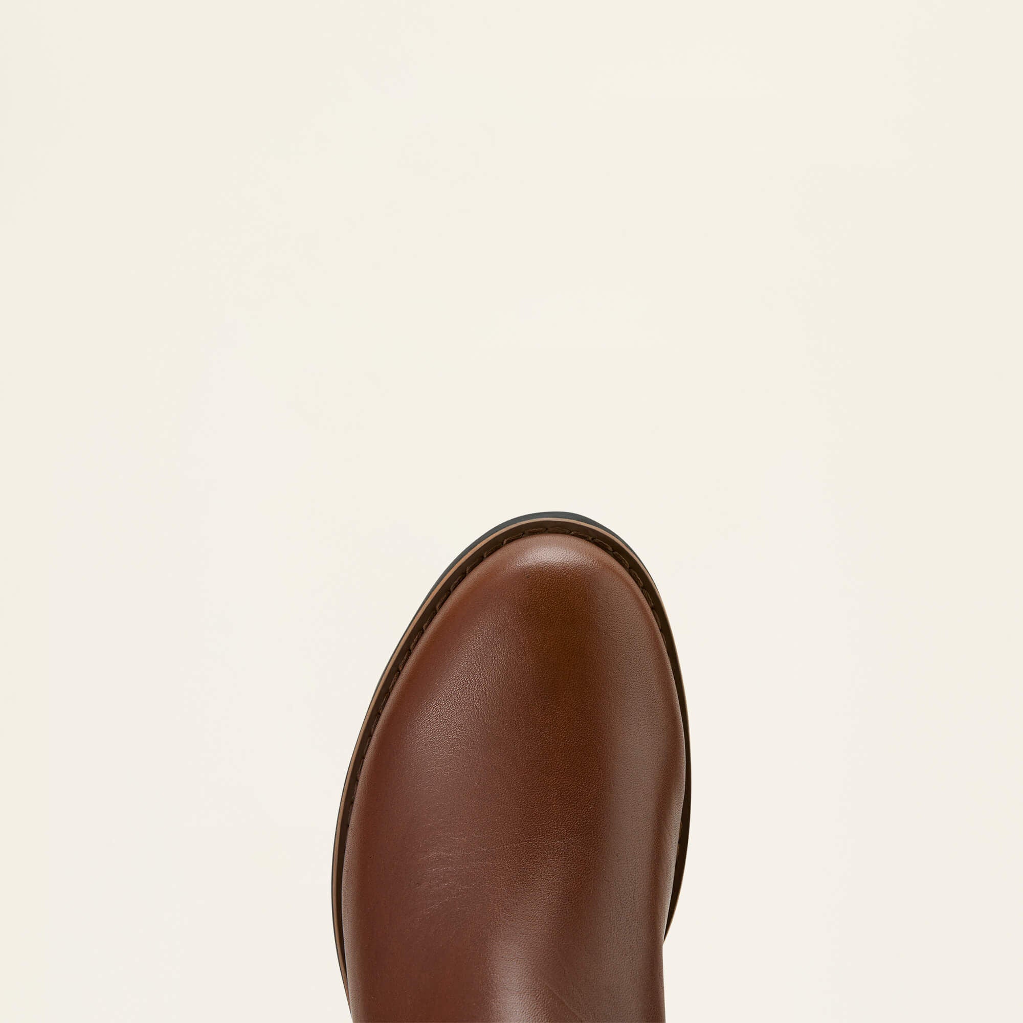 Ariat Arlington Waterproof Boot Women|Trends