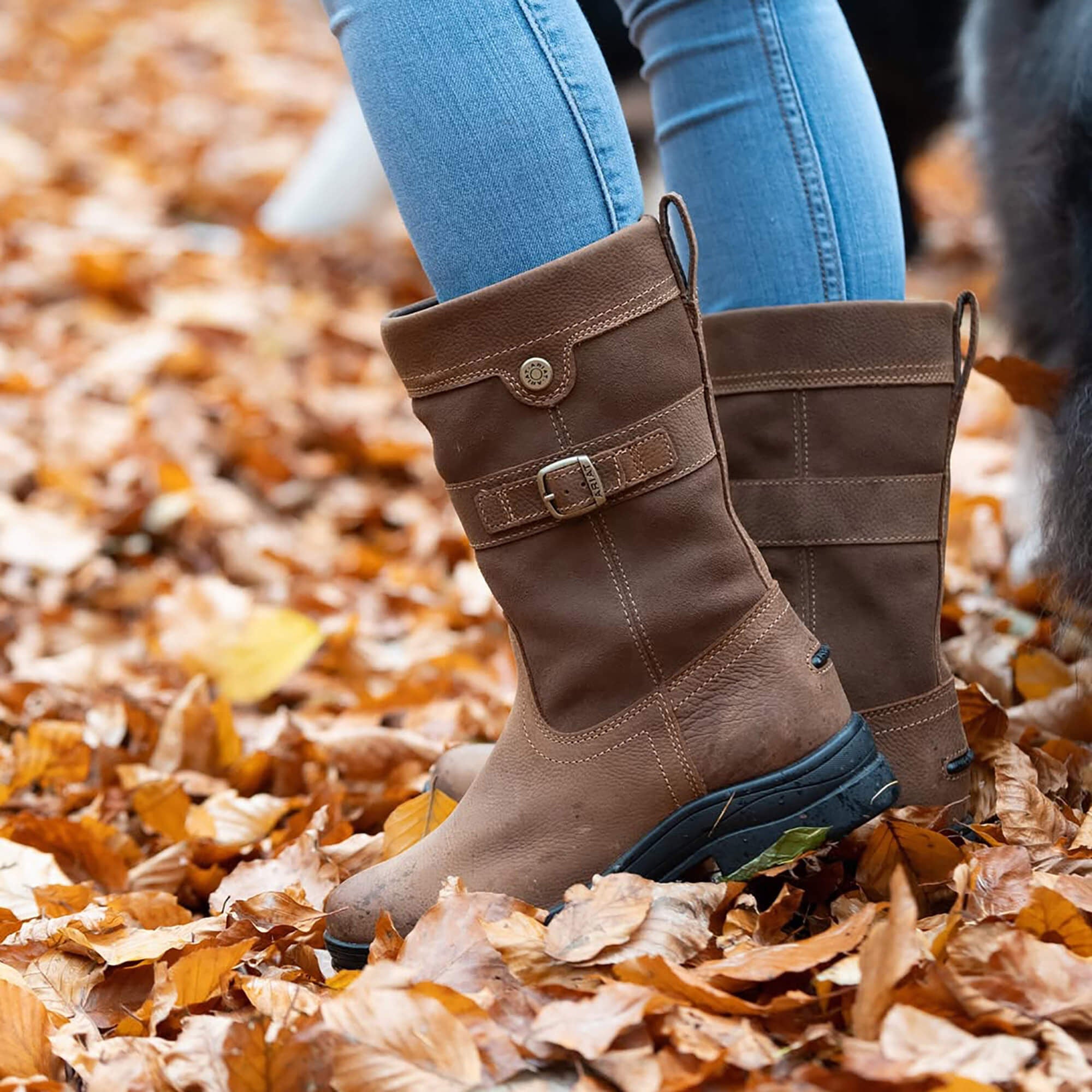 Ariat Bampton Waterproof Boot Women|Trends