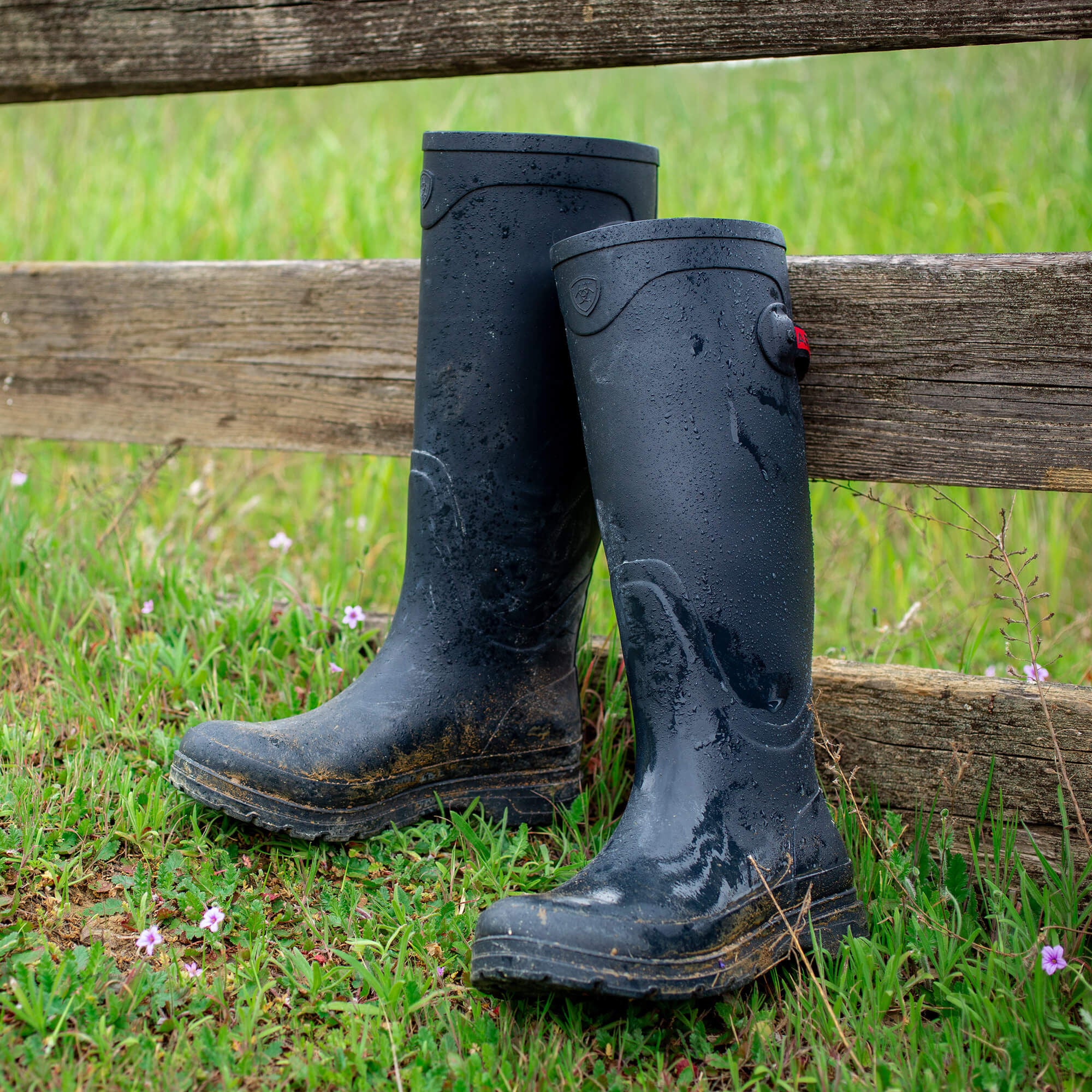 Ariat Kelmarsh Rubber Boot Women|Trends
